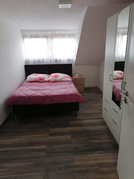 Ferienwohnung Andreea ザールルイ エクステリア 写真