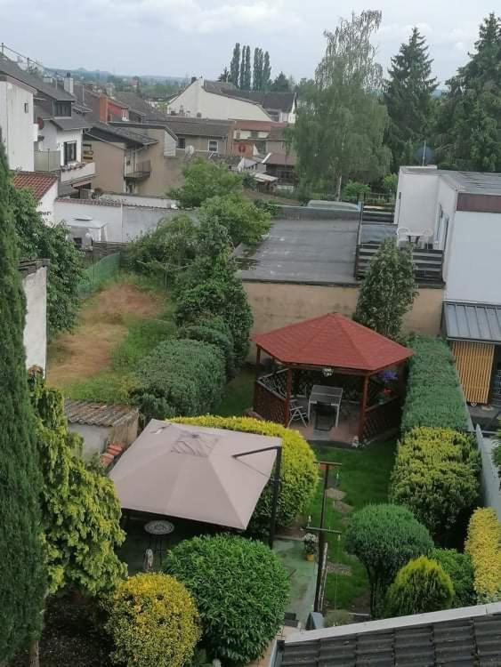 Ferienwohnung Andreea ザールルイ エクステリア 写真