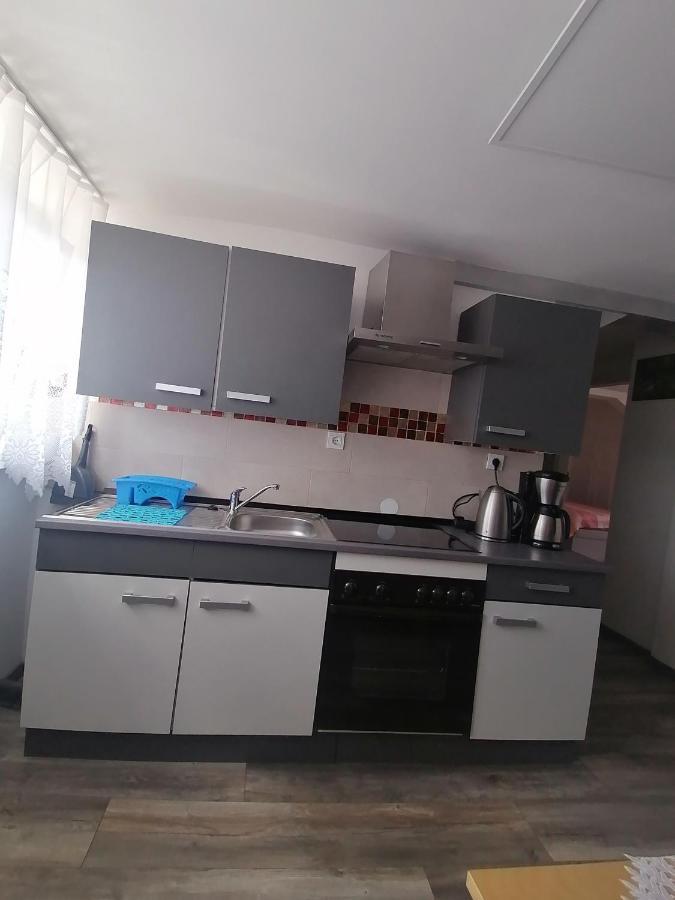Ferienwohnung Andreea ザールルイ エクステリア 写真